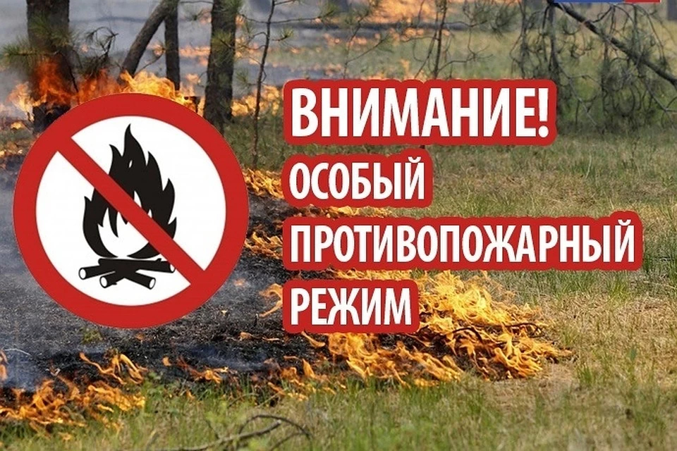 Об установлении особого противопожарного режима на территории Ростовской области