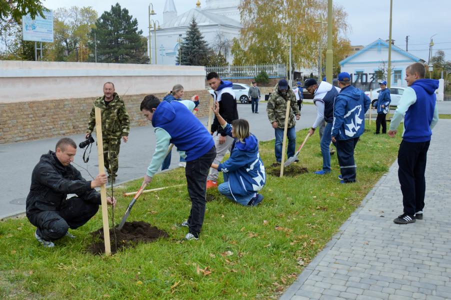 Более 600 белокалитвинцев приняли участие в осеннем Дне древонасаждений