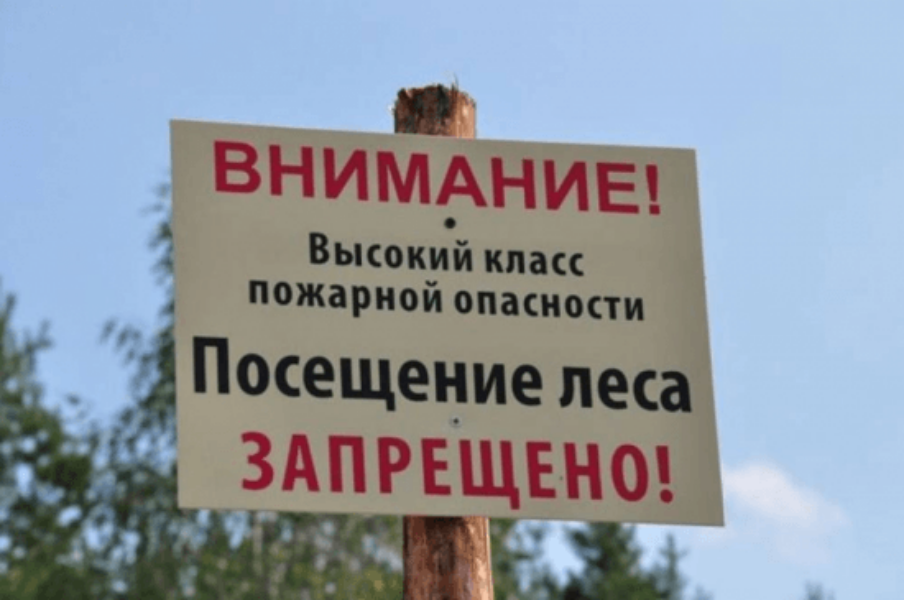 В Ростовской области введен режим ограничения пребывания граждан в лесах