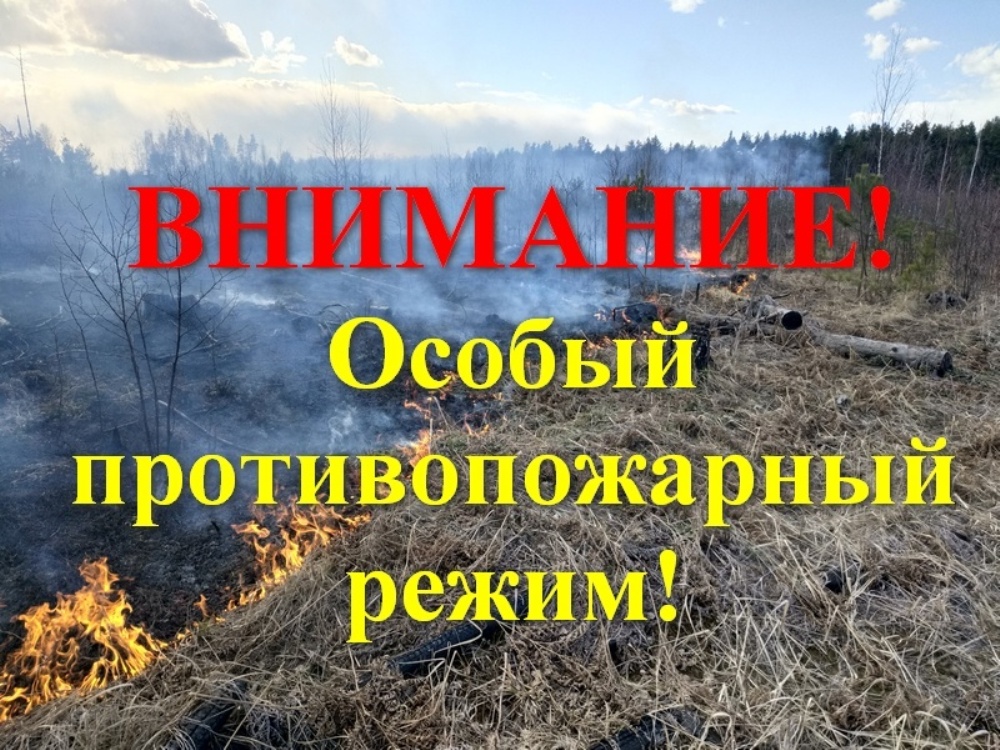 На территории Ростовской области действует особый противопожарный режим
