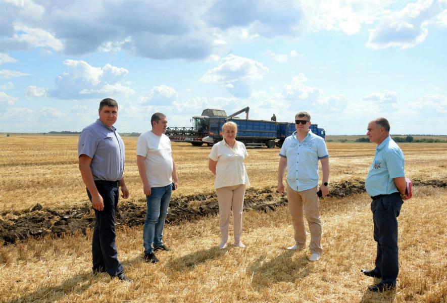 В Белокалитвинском районе активно проходит уборочная кампания ранних зерновых культур