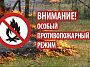 В Ростовской области введен режим ограничения пребывания граждан в лесу