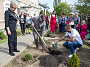 Ольга Мельникова приняла участие в посадке саженца  Дуба Петра Великого 